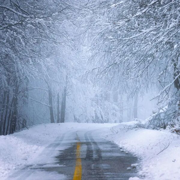 ❄️ Hiver Serein : Conduire en Toute Sécurité! ❄️